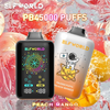 Elfworld PB 45000