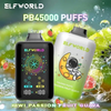 Elfworld PB 45000
